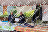 Evenement foto: Serie 2170