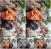 Evenement foto: Serie 2170