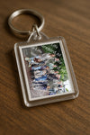 Evenement foto: Serie 2170