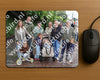 Evenement foto: Serie 2170