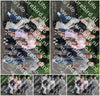 Evenement foto: Serie 2170