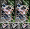 Evenement foto: Serie 2170