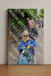 Evenement foto: Serie 2171