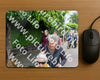 Evenement foto: Serie 2171