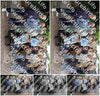 Evenement foto: Serie 2171