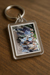 Evenement foto: Serie 2171