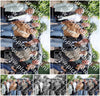 Evenement foto: Serie 2172
