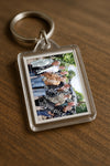 Evenement foto: Serie 2172