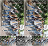 Evenement foto: Serie 2172