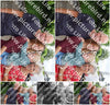 Evenement foto: Serie 2172