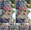 Evenement foto: Serie 2172