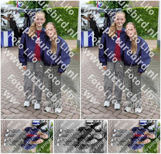 Evenement foto: Serie 2172