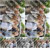 Evenement foto: Serie 2173