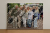 Evenement foto: Serie 2173