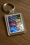 Evenement foto: Serie 2173