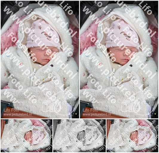 Evenement foto: Serie 2173