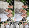 Evenement foto: Serie 2173