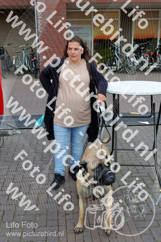 Evenement foto: Serie 2178