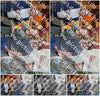 Evenement foto: Serie 2179