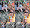 Evenement foto: Serie 2180