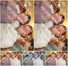 Evenement foto: Serie 358