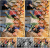 Evenement foto: Serie 358