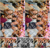 Evenement foto: Serie 358
