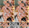 Evenement foto: Serie 358