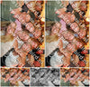 Evenement foto: Serie 358