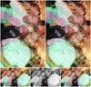 Evenement foto: Serie 358