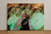 Evenement foto: Serie 358