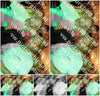Evenement foto: Serie 358