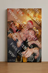 Evenement foto: Serie 358