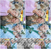 Evenement foto: Serie 359