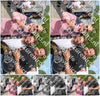 Evenement foto: Serie 360
