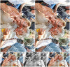 Evenement foto: Serie 360