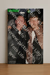 Evenement foto: HON Serie 10