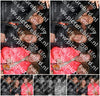 Evenement foto: HON Serie 11