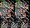 Evenement foto: HON Serie 11