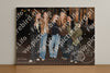 Evenement foto: HON Serie 11