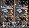 Evenement foto: HON Serie 11