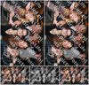 Evenement foto: HON Serie 11
