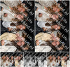 Evenement foto: HON Serie 12