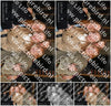 Evenement foto: HON Serie 12