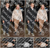 Evenement foto: HON Serie 13