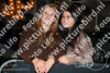 Evenement foto: HON Serie 13