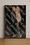 Evenement foto: HON Serie 13