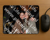 Evenement foto: HON Serie 13