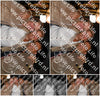 Evenement foto: HON Serie 14