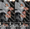 Evenement foto: HON Serie 15